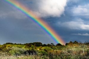rainbow over green grass field