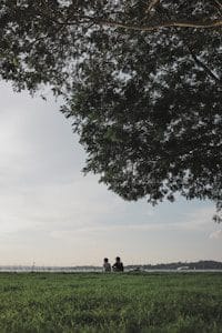 two people sitting on a bench under a tree