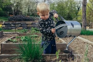 boy in black and white long sleeve shirt watering plants using a gray metal watering can during daytime