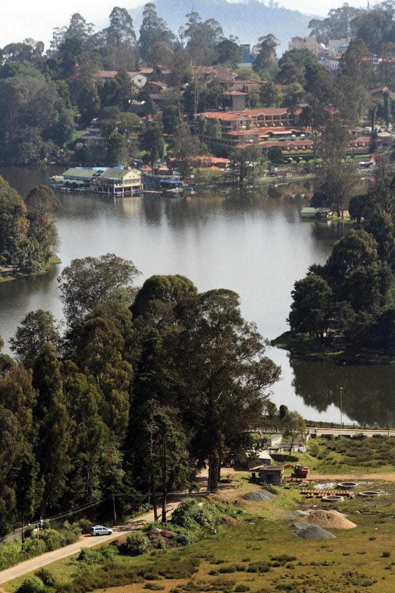 green trees near body of water during daytime in Kodaikanal