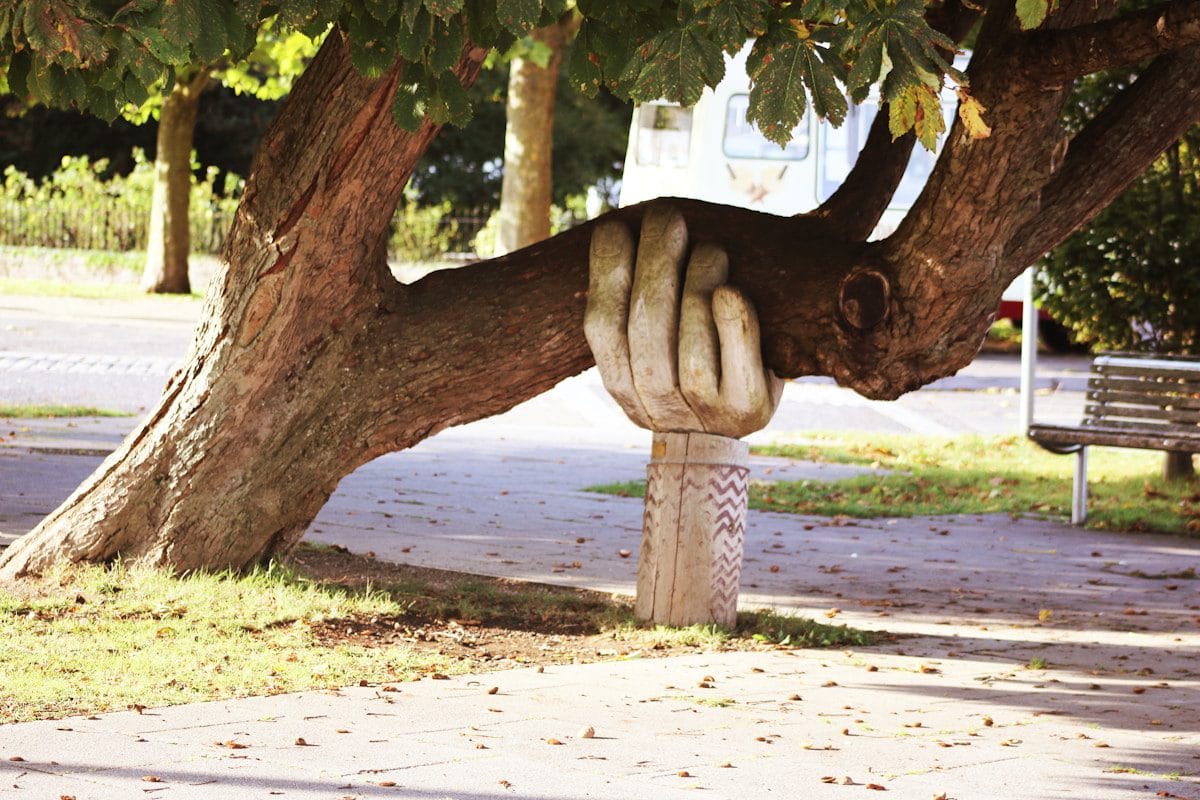 brown tree with a pillar shaped like a hand supporting it